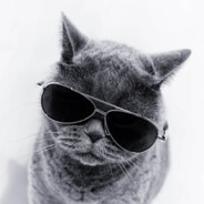 lehazzz
