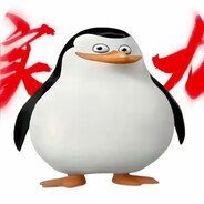 自由人这一块/.