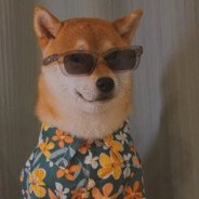 花园宝宝扛霸子