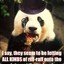 Anonymous Panda