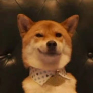 青梅绿茶加麻加辣