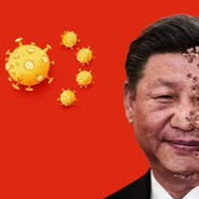 習近平是我養的dog