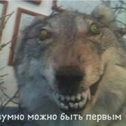 Папа закон вор