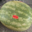 Boneless Watermelon
