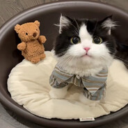 爱吃火辣辣披萨