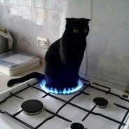 fantastyczenbajkowestworzenie