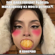 туалет доры