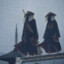 ShinobiHikkamori