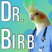 DrBIRB