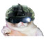 Ciro_Zulu