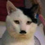 Kitler