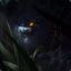 Rengar