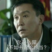 市委书记李达康