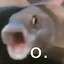 MIBOMBO