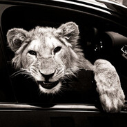 fame - steam id 76561198783603702