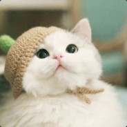 给点钱买头盔吧