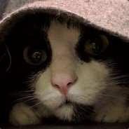 amns - steam id 76561197964423186