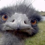 GOGA