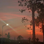 我说你马了你说你没马