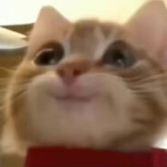 手感好能杀两个