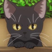 狗·德川家康·薛定谔