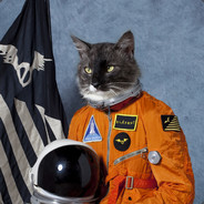 space cat