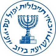 צב 360 avatar