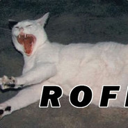 ROFL ◥◣ ◢◤