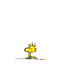 Peanut