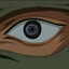 The Observer