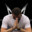 MaT_MaX