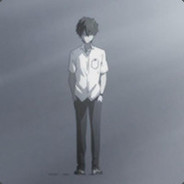 阳光下安静的猫