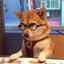 ★Benidogs★