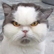 KKKК