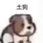 唯是秋风皆过客