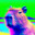 Huonk_