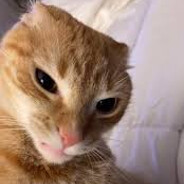 ็็็็็็็็็็