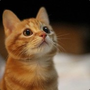 直白坦率好直男