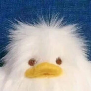 人机你信佛吗？