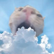 社恐程度百分百