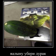 gustim4ik