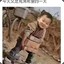 琴