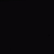 梁山伯与猪硬来