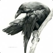 Raven