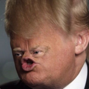 Tronald Dump™