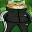 MR.dezz