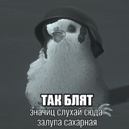 أحْمَدْ cs2age.ru