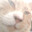 cute little chuddie avatar