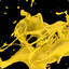 Yellow Splash