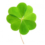 Clover5 - steam id 76561199114614441